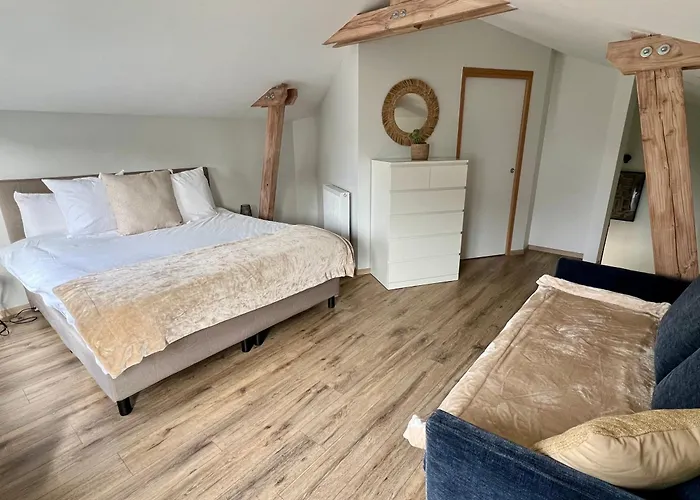 Villa Gaia - 2 Suites Lits King Size Et Salles De Bain Privatives - Parking Prive - 10 Minutes Eurexpo - Aeroport - Groupama Stadium