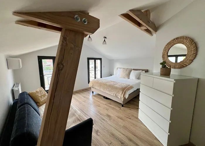 Villa Gaia - 2 Suites Lits King Size Et Salles De Bain Privatives - Parking Prive - 10 Minutes Eurexpo - Aeroport - Groupama Stadium